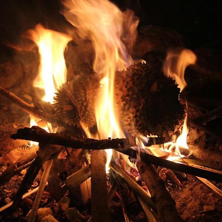 Big Mang Den Homestay Kon Von Kla Zewnętrze zdjęcie